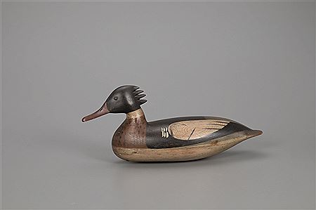 The Mackey Shourds Merganser Drake