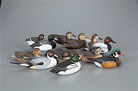 Twelve Miniature Waterfowl