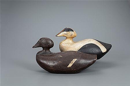 Eider Pair by Amos G Wallace - Auction record, sale price, and art valuation. Compare with similar artists and explore comparable artworks.