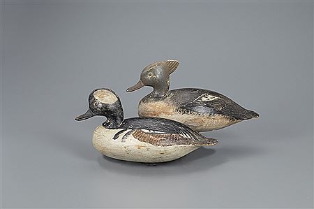 The Mackey-Gregory Hooded Merganser Pair