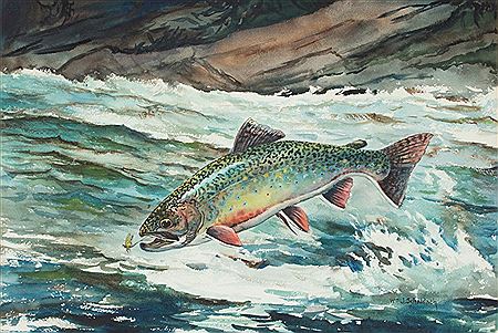 Leaping Male Eastern Brook Trout