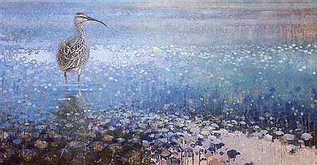 Curlew, 2019