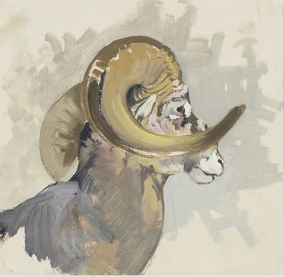 Big Horn Ram