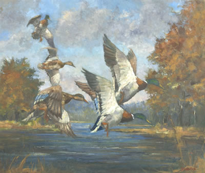 Mallards