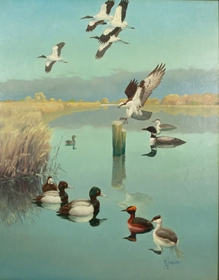 Tidal Creek Scene