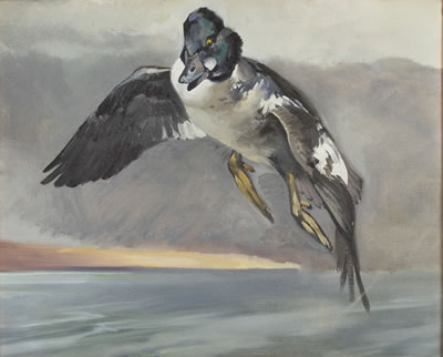 Goldeneye Pitching In