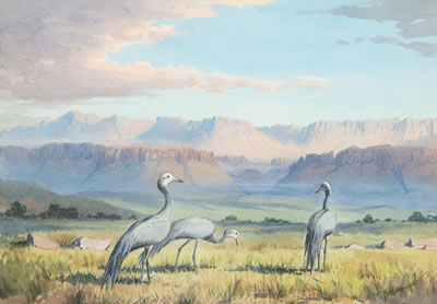 Blue Cranes at Sunrise; Crowned Cranes at Luangwa Valley; Secretary Birds; Martiel Eagle Taking Off