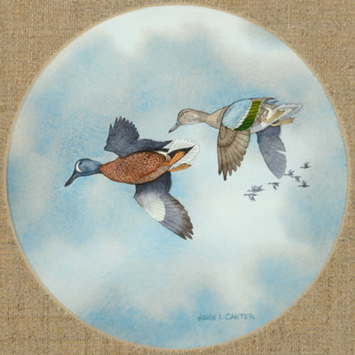 Blue Winged Teal; Canada Geese; Mallards; Sprig; Widgeon