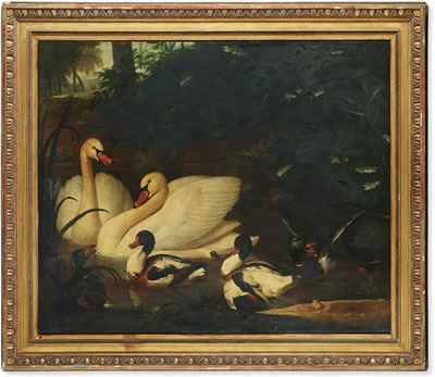 Cygnes et canards dans un paysage de forêt