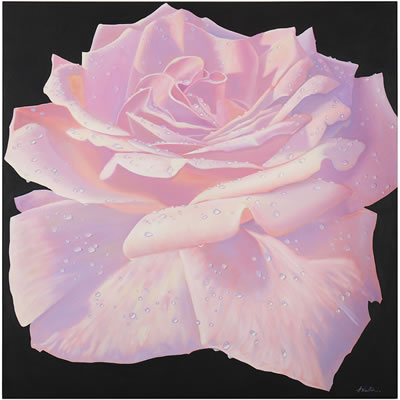 Rose I
