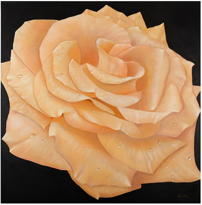Rose II by Alan Weston - Auction record, sale price, and art valuation. Compare with similar artists and explore comparable artworks.
