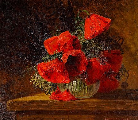 Poppies and lupins