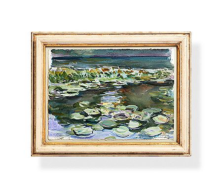 Waterlilies