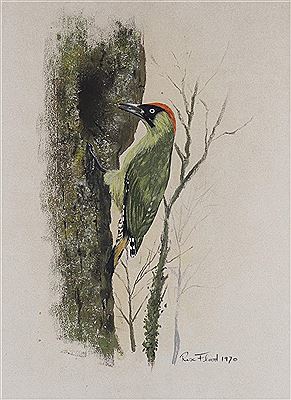 Green Woodpecker by Rex Flood - Auction record, sale price, and art valuation. Compare with similar artists and explore comparable artworks.