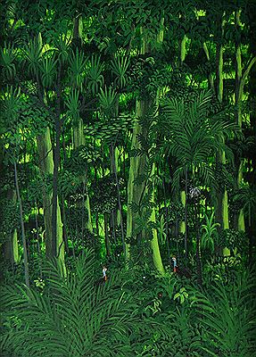 'Cassowaries'