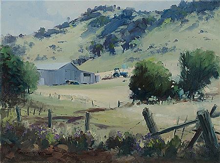 Rural Scene Near Wyangala