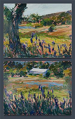 'Lavender Fields'