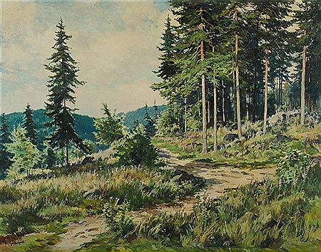 Woodland Track
