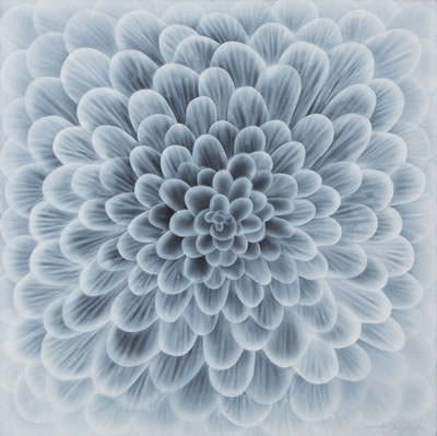 Night flower