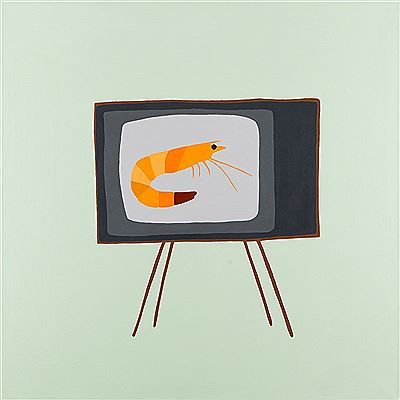 Shrimp TV