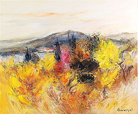 "LES MARRES PAYSAGE"