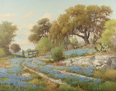 Spring in the Hill Country
