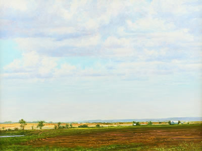 The field in Spring
