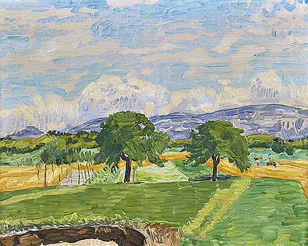 Summer field landscape.