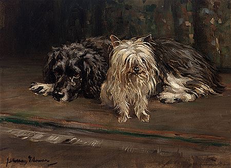 Best Friends (Spaniel and Yorkie)