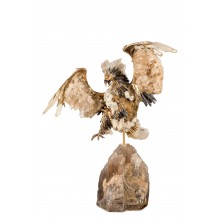 Águila