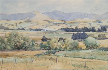 Wairarapa Landscape