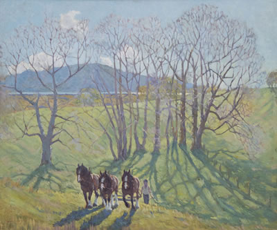 Ploughing the Fields