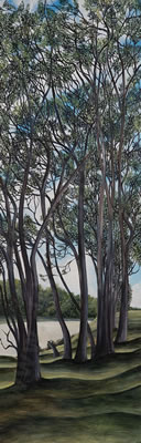 Christmas Day Beside the Ruamahunga