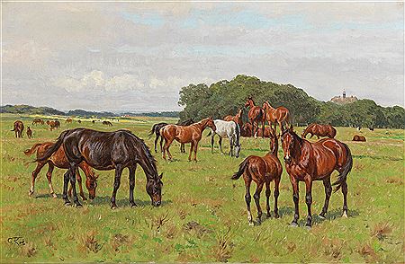 Horses in a Meadow