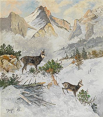 Chamois in a Winter Landscape
