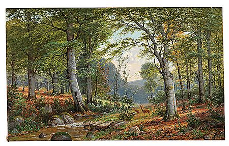 Roe Deer in an Idyllic Wooded Landscape