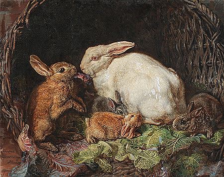 A Family of Hares