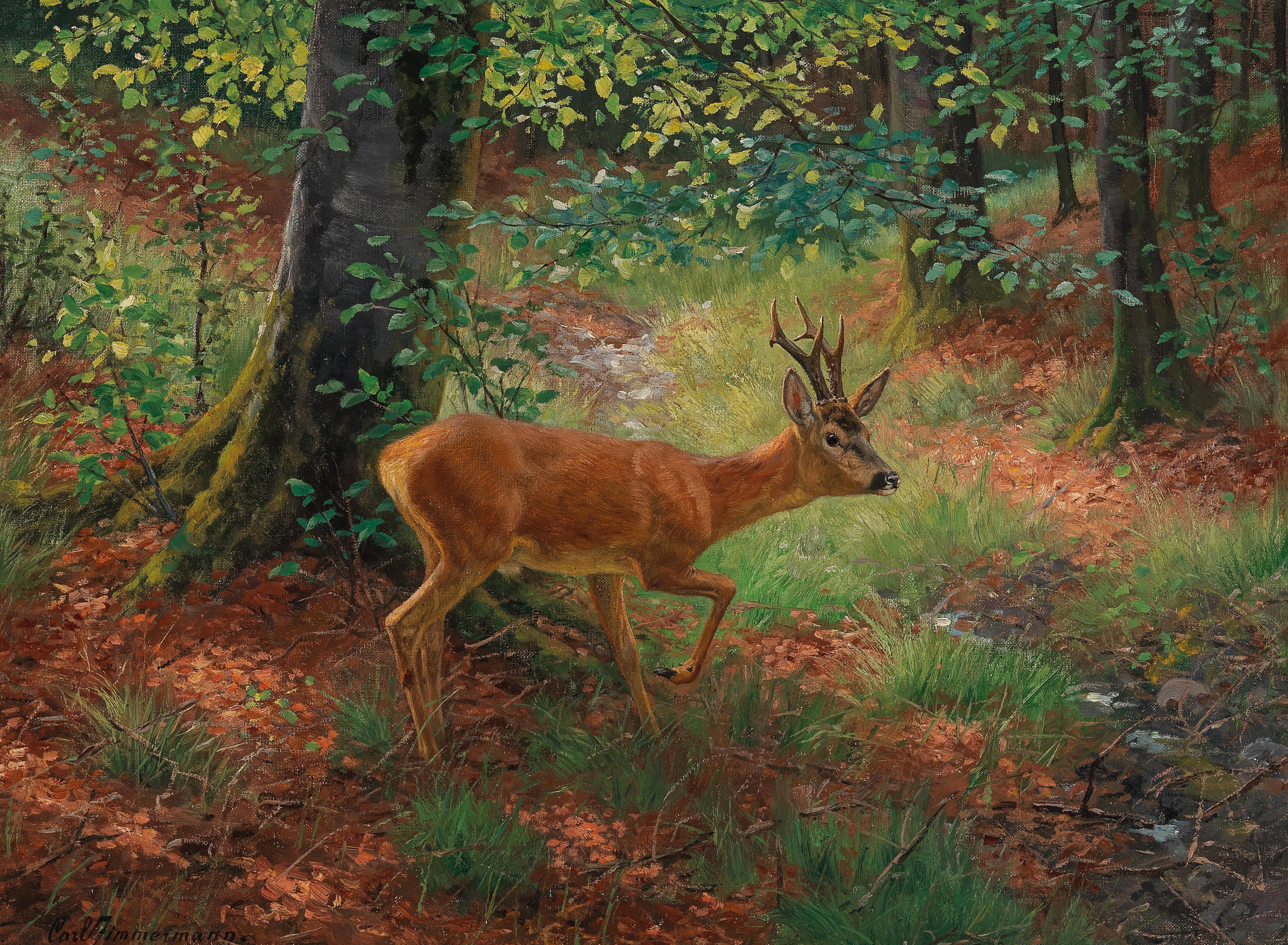 A Roe Deer in a Forest