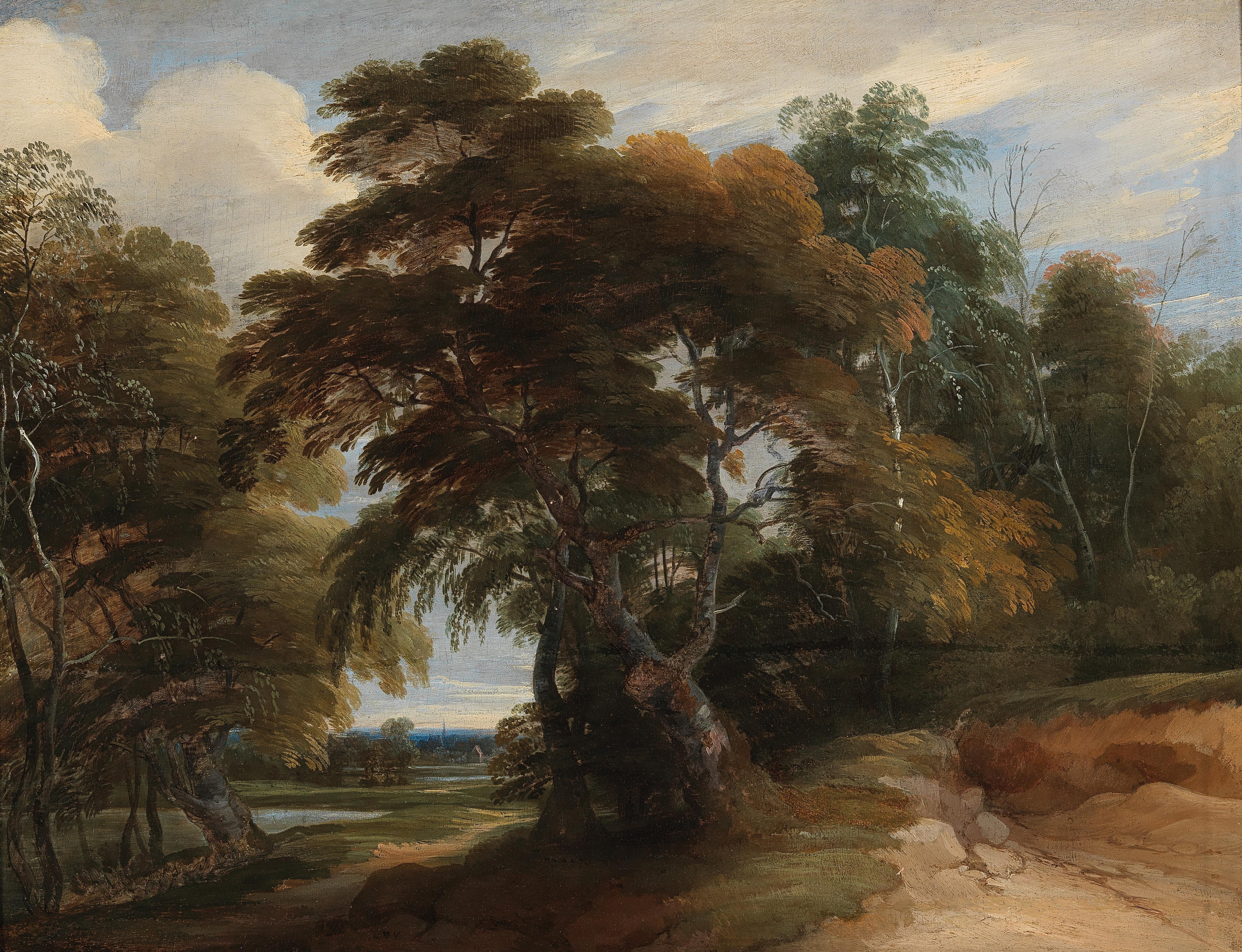 A wooded landscape with a church spire in the distance