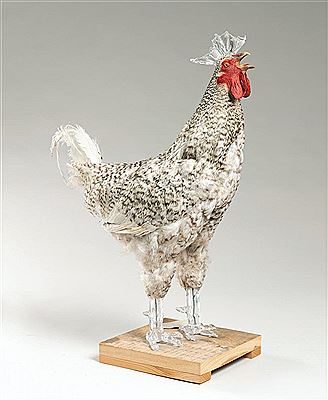 Artificial Crossbreeding
