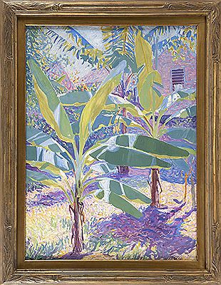 "The Cabbage Patch, Bermuda".