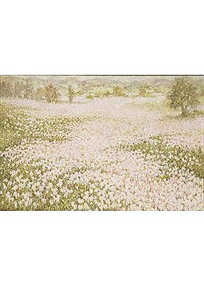 Primavera rosa
