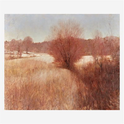 Hedgerow
