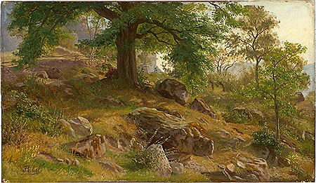 Sonnenbeschienener Berghang