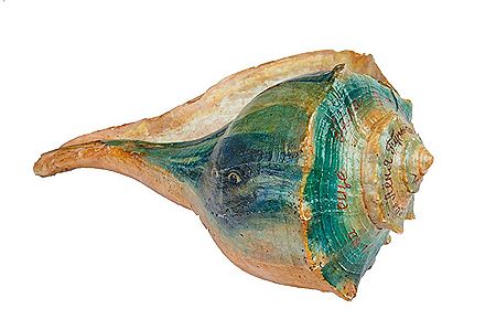 Pipa's Home When She Was a Snail