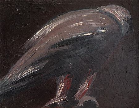 Bearded Vulture, 1988