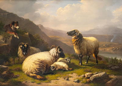 Sheep Dog Guarding his Flock