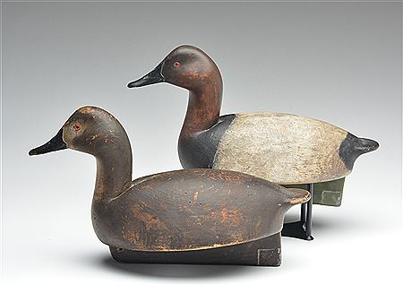 Rigmate pair of canvasbacks