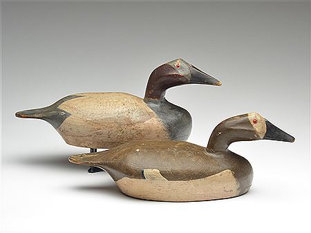 Rigmate pair of oversize canvasbacks