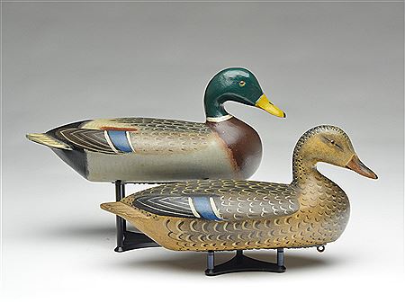 Rigmate pair of mallards